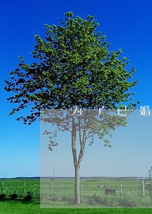 为了已婚男离婚他会娶我吗 为了已婚男离婚他会娶我吗