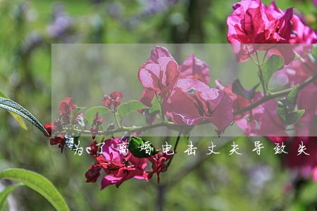为了离婚电击丈夫导致失禁 为了离婚电击丈夫导致失禁