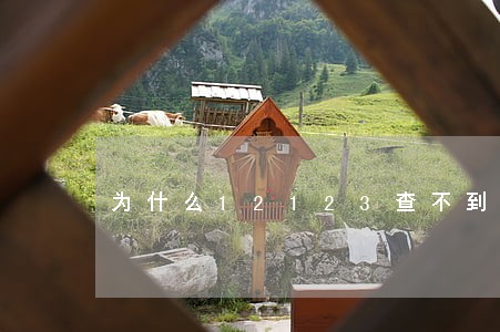 为什么12123查不到违法信息 为什么12123查不到违法信息