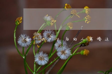 为什么90后的人离婚这么多 为什么90后的人离婚这么多