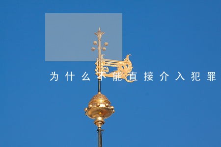 为什么不能直接介入犯罪 为什么不能直接介入犯罪