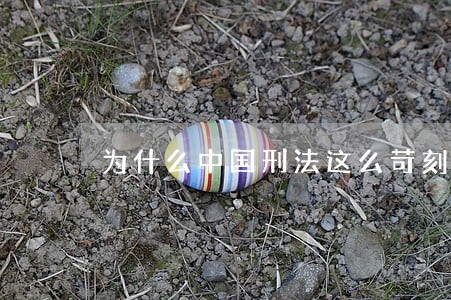 为什么中国刑法这么苛刻 为什么中国刑法这么苛刻