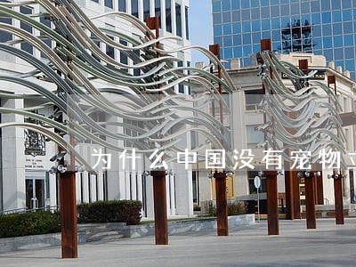 为什么中国没有宠物立法