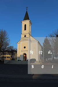 为什么交通违法询进不去/2023020301366