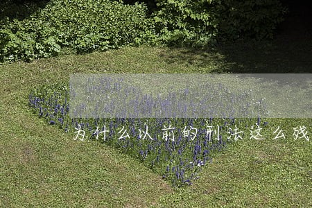 为什么以前的刑法这么残忍 为什么以前的刑法这么残忍