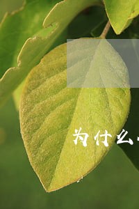 为什么会有网贷逾期 为什么会有网贷逾期