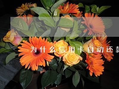 为什么信用卡自动还款会逾期 为什么信用卡自动还款会逾期
