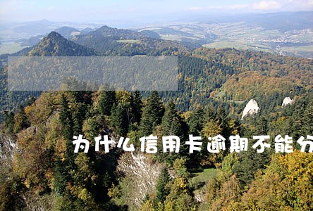 为什么信用卡逾期不能分期 为什么信用卡逾期不能分期