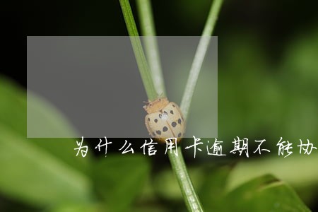 为什么信用卡逾期不能协商 为什么信用卡逾期不能协商