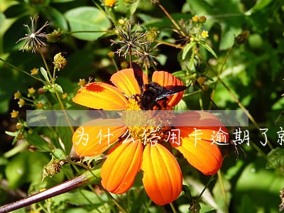 为什么信用卡逾期了就要坐牢 为什么信用卡逾期了就要坐牢