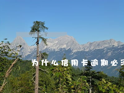 为什么信用卡逾期必须还全款 为什么信用卡逾期必须还全款