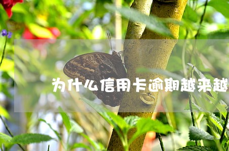 为什么信用卡逾期越来越多 为什么信用卡逾期越来越多