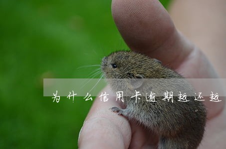 为什么信用卡逾期越还越多