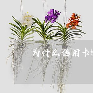 为什么信用卡逾期还能用花呗