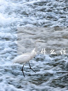 为什么信用逾期自己一点不知道 为什么信用逾期自己一点不知道