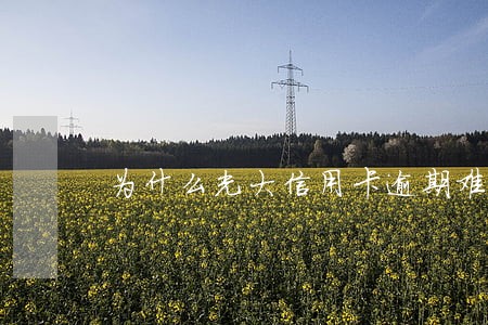 为什么光大信用卡逾期难协商