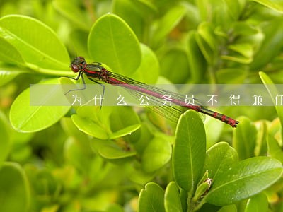 为什么公务员不得兼任执业律师 为什么公务员不得兼任执业律师
