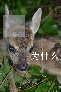 为什么刑法上会出现谦抑原则