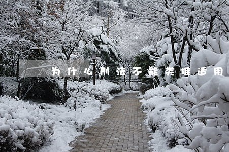为什么刑法不能类推适用 为什么刑法不能类推适用