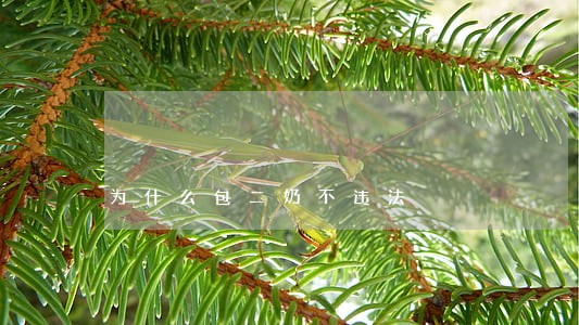 为什么包二奶不违法 为什么包二奶不违法