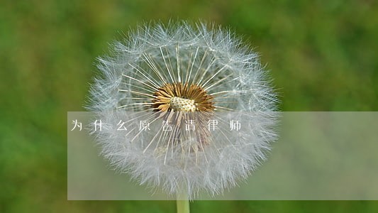 为什么原告请律师