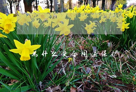 为什么受合同法保护 为什么受合同法保护