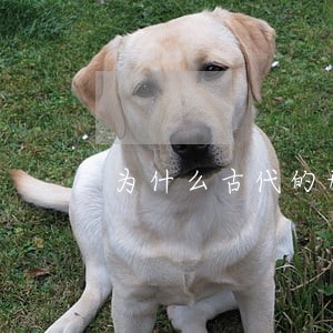 为什么古代的刑法那么残酷
