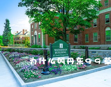 为什么叫丹东99草莓 为什么叫丹东99草莓