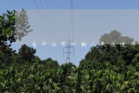 为什么可以到人民法院诉讼 为什么可以到人民法院诉讼