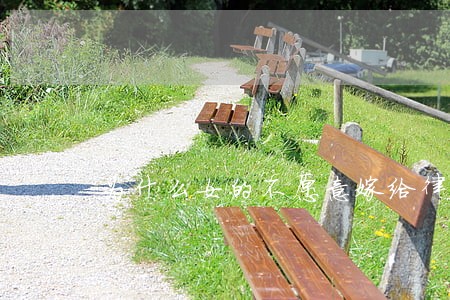 为什么女的不愿意嫁给律师 为什么女的不愿意嫁给律师