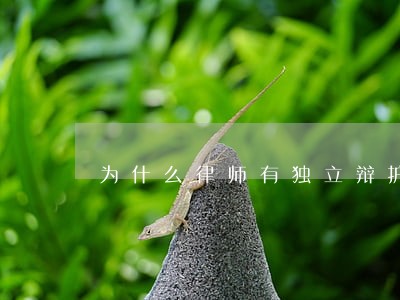 为什么律师有独立辩护 为什么律师有独立辩护