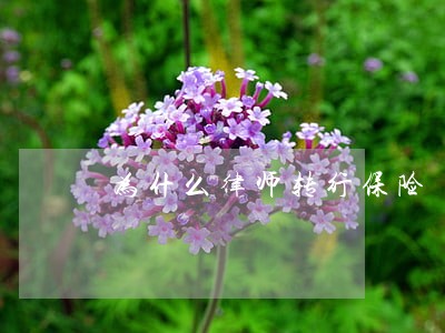 为什么律师转行保险