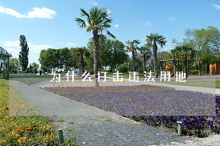 为什么打击违法用地 为什么打击违法用地