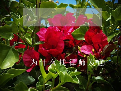 为什么找律师发函