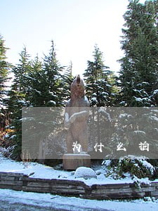 为什么拍卖的车子很贵 为什么拍卖的车子很贵