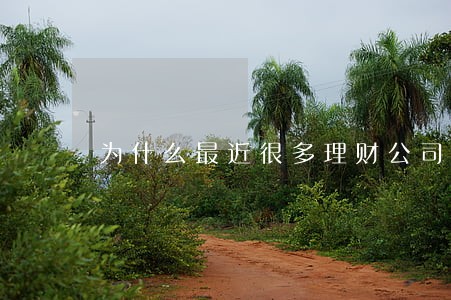 为什么最近很多理财公司逾期 为什么最近很多理财公司逾期