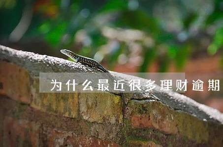 为什么最近很多理财逾期 为什么最近很多理财逾期