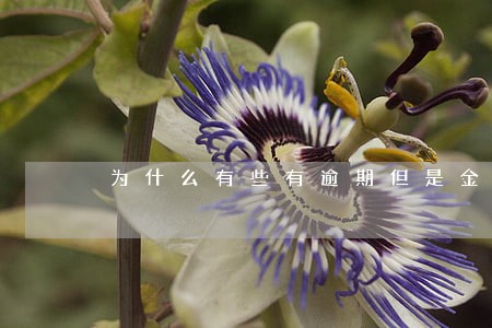 为什么有些有逾期但是金额为0 为什么有些有逾期但是金额为0
