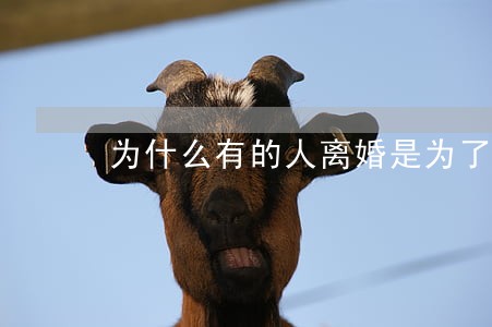 为什么有的人离婚是为了买房 为什么有的人离婚是为了买房