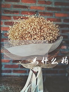 为什么构成违法