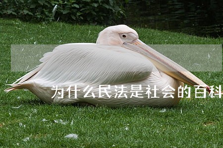 为什么民法是社会的百科全书 为什么民法是社会的百科全书