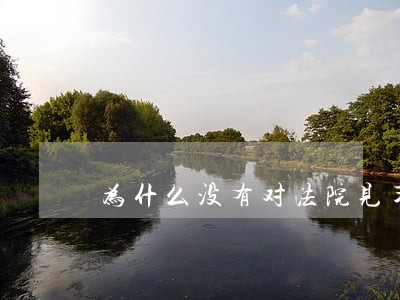 为什么没有对法院见习生的评价