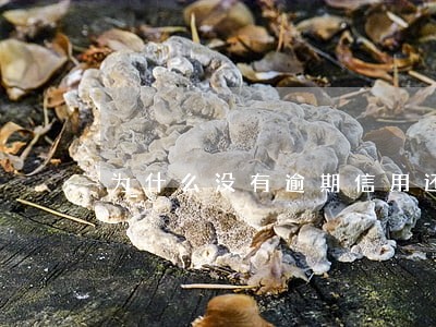 为什么没有逾期信用还差 为什么没有逾期信用还差