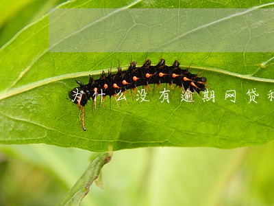 为什么没有逾期网贷秒拒 为什么没有逾期网贷秒拒