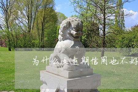 为什么没逾期信用也不好 为什么没逾期信用也不好