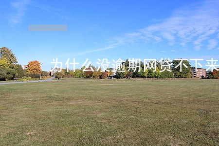 为什么没逾期网贷不下来