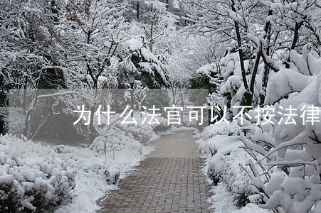 为什么法官可以不按法律办案