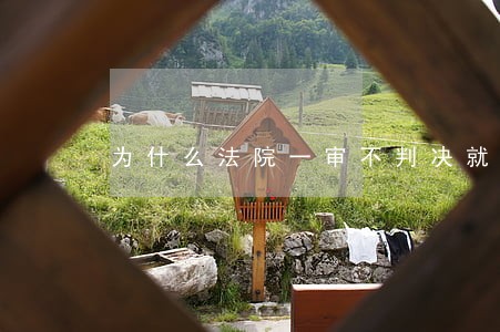 为什么法院一审不判决就二审 为什么法院一审不判决就二审