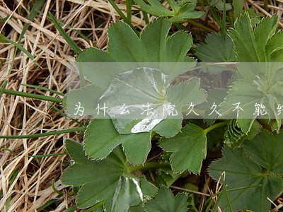 为什么法院久久不能结案 为什么法院久久不能结案
