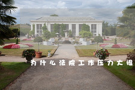 为什么法院工作压力大很难 为什么法院工作压力大很难